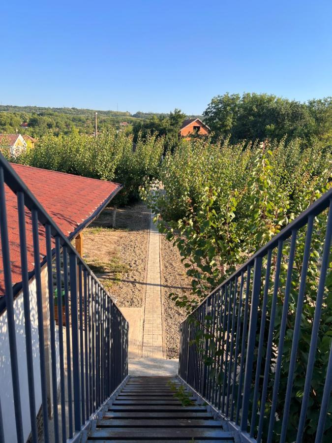 Къща За Гости Ненийски Lom Exterior foto